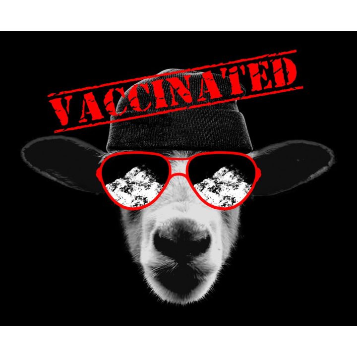 Tričko s potlačou Som ovca. Vakcinovaná