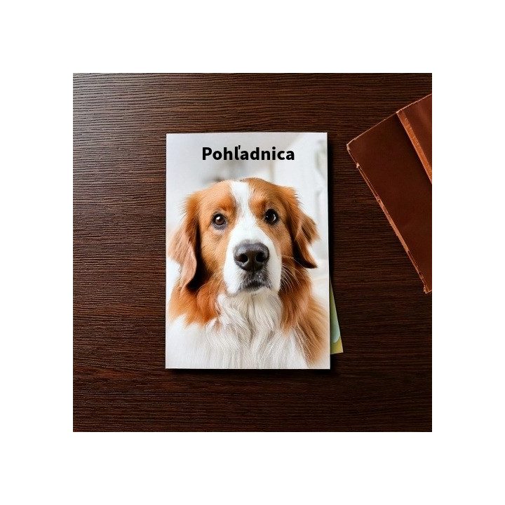 Tlač pohľadníc | bkstudio.sk